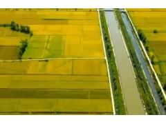 我国农业种质资源保存总量位居世界第一