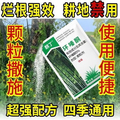 环嗪酮杀竹子杂草烂根除草烂根剂环嗪哃水剂浇根除灌木专用药除草图4