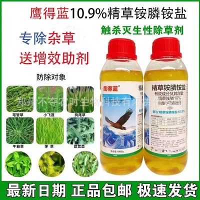 鹰德蓝10.9%精草铵膦铵盐果园除草剂非耕地杂草不残留烂根死根图3