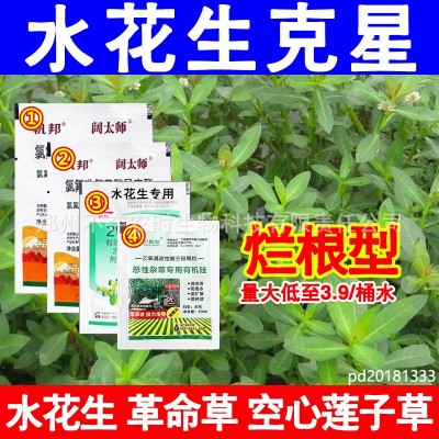 水花生套装四效合一专用除草剂烂根阔叶杂草氯氟吡氧乙酸异辛酯图3