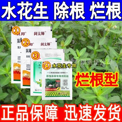 水花生套装四效合一专用除草剂烂根阔叶杂草氯氟吡氧乙酸异辛酯图2