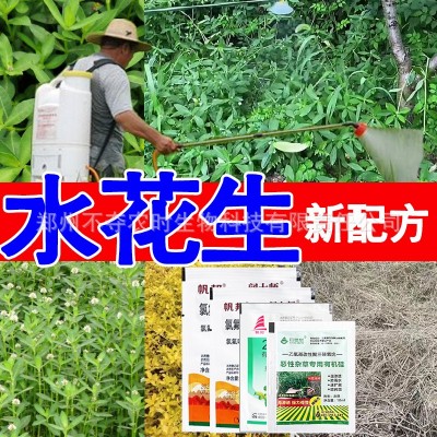 水花生套装四效合一专用除草剂烂根阔叶杂草氯氟吡氧乙酸异辛酯图4