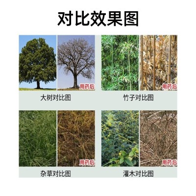 新安·史蒂 环嗪哃 灭杂草 竹子净除草剂道路灌木不返青 除草剂图2