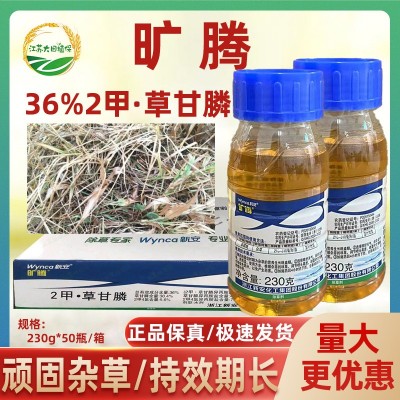 新安旷腾2甲4氯草甘膦果园荒山马路抗性杂草死根节节草农药除草剂图2