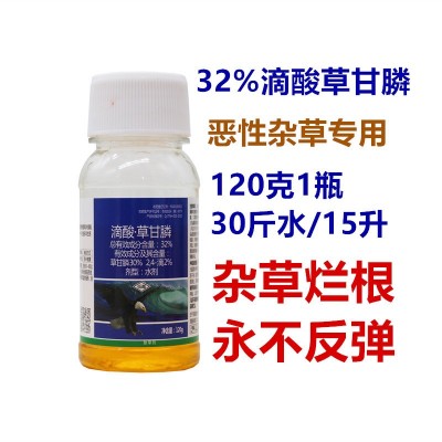 滴酸草甘膦杂草烂根除草剂爬藤小飞蓬牛筋草喇叭花打碗花果园荒地图2