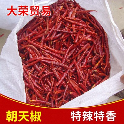 红辣椒 花皮辣椒干辣椒段 子弹头干辣椒制品 供应火锅用辣椒图2