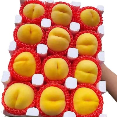 山东蒙阴黄金毛桃纯甜汁多肉脆新鲜应季礼盒整箱黄桃毛桃批发代发图5