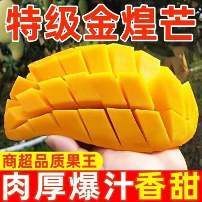 海南三亚树上熟金煌芒芒果当季孕妇水果现摘现发新鲜芒果一件代发图2