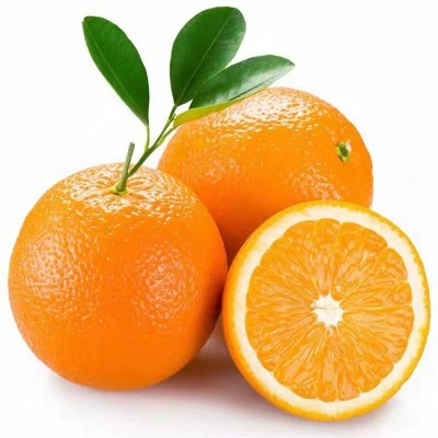 赣南脐橙5斤10斤20斤装春节礼盒装现摘橙子批发一件代发果园直发图4