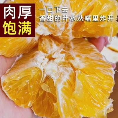 赣南脐橙5斤10斤20斤装春节礼盒装现摘橙子批发一件代发果园直发图3