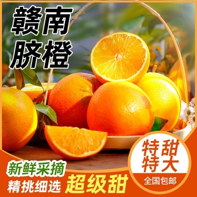 正宗赣南脐橙新鲜水果批季水果孕妇儿童手拨甜橙子当季现摘现发图4