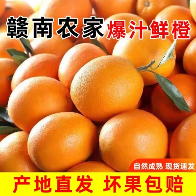 正宗赣南脐橙新鲜水果批季水果孕妇儿童手拨甜橙子当季现摘现发图5