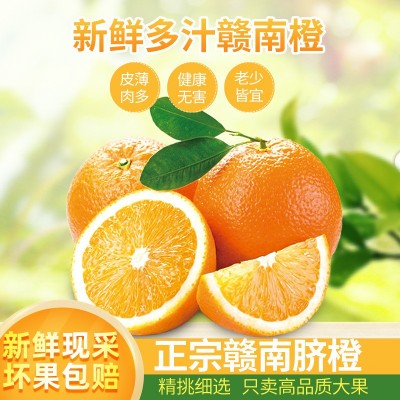 正宗赣南脐橙江西橙子产地直发应季新鲜水果高山脐橙时令孕妇甜橙图2