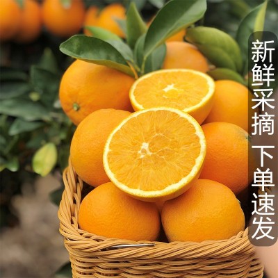 正宗赣南脐橙5斤新鲜皮薄多汁产地直发应季水果橙子孕妇水果脐橙图4