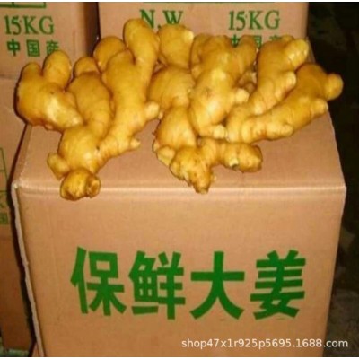 山东生姜基地常年供应 大黄姜,小黄姜,chu口+工电商团购图4