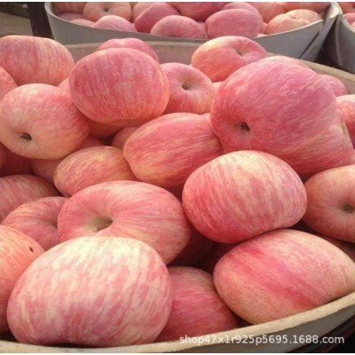 红富士苹果 山区红富士山东膜袋 纸袋红富士苹果 偏红条纹 口感脆图4