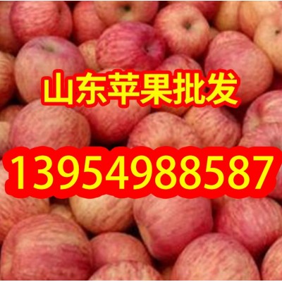 红富士苹果 山区红富士山东膜袋 纸袋红富士苹果 偏红条纹 口感脆图3