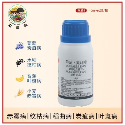 嘉克清40%甲流氟环唑 葡萄香蕉叶斑小麦赤霉水稻纹枯稻曲病图2