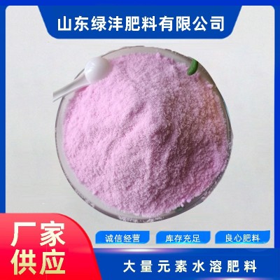 大量元素水溶肥20-20-20 蔬菜果树花卉肥料粉剂平衡型 厂家供应图2