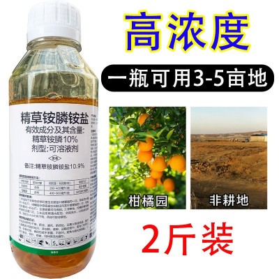 10%精草铵膦铵盐除草剂 1000克 非耕地杂草除草剂 精草安磷图2