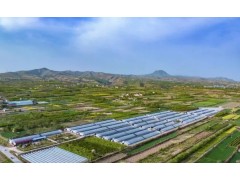 甘肃天水市全力推动现代设施农业高质量发展