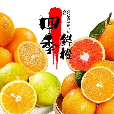 【四季鲜橙】产地供应湖北秭归一年四季挂树保鲜脐橙非赣南非奉节图5
