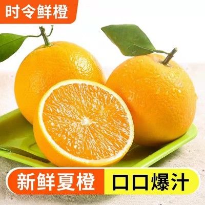 【秭归脐橙】秭归脐橙伦晚橙子应季生鲜水果甜橙正宗伦晚橙批发图2