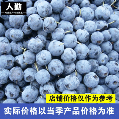 厂家现货 高鲜森冷冻水果冷冻蓝莓 速冻新鲜蓝莓冻果冷冻蓝莓图2