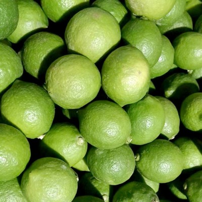 青柠檬奶茶店酒店专用清香皮薄多汁新鲜现摘小青非广东柠香水柠檬图2