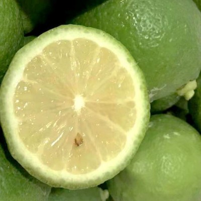 青柠檬奶茶店酒店专用清香皮薄多汁新鲜现摘小青非广东柠香水柠檬图5