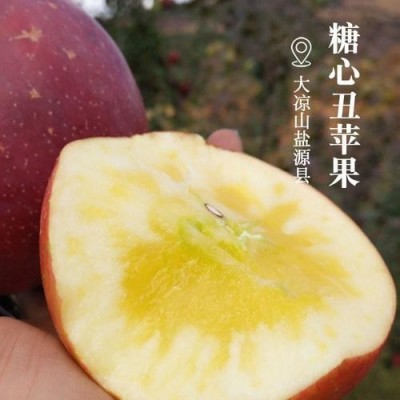 【四川盐源苹果糖心丑苹果红将军】当季新鲜水果礼盒装整箱图2