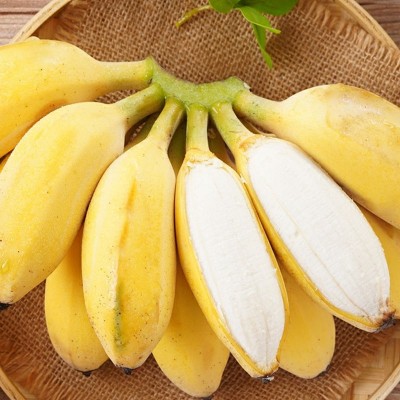 福建正宗苹果蕉新鲜9斤当季整箱水果甜香banana现砍现发整箱包邮图5