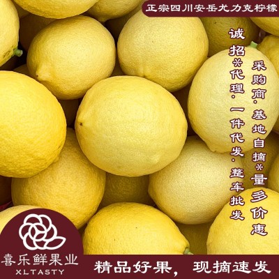 定制四川安岳黄柠檬9斤新鲜水果皮薄肉厚现摘速发量多价惠图2