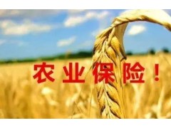 海南人保财险农业保险助力全省农业全力以“复”