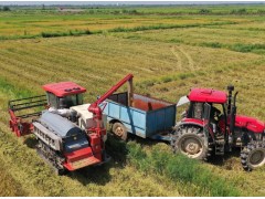 （中国新貌）农业现代化加快推进 科技助力端稳端牢“中国饭碗”