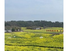 依法推动农业农村高质量发展