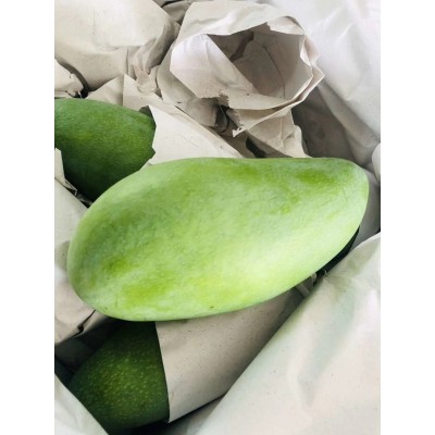 大青芒正宗大芒果青皮青皮金煌芒净果9斤图4