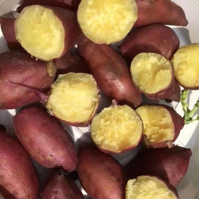 海南富硒地瓜新鲜桥沙地红薯山芋板栗薯番薯新鲜农家自种图3