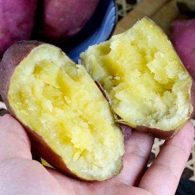 海南富硒地瓜新鲜桥沙地红薯山芋板栗薯番薯新鲜农家自种图4