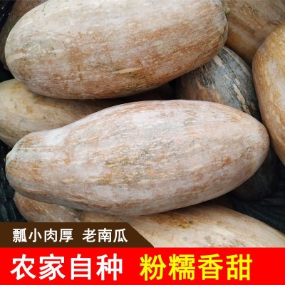 【坏包赔】老南瓜新鲜农家蔬菜甜糯黄皮现摘老品宝宝辅食非小贝贝图3
