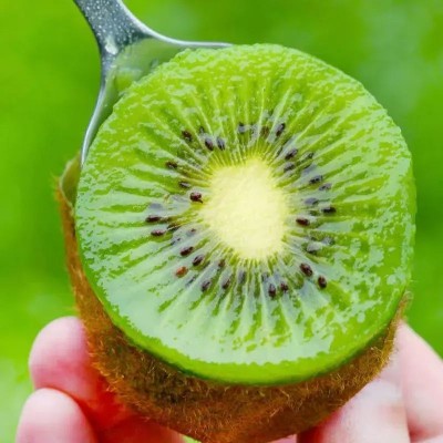 徐香猕猴桃陕西新鲜水果当季绿心弥猴桃5斤包邮一件代发奇异果图5