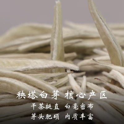 2024年云南景谷白茶秧塔核心茶区百毫银针全芽头特级茶叶批发图2