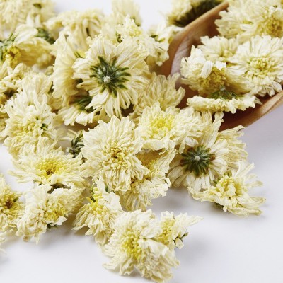 黄山贡菊 菊花茶 厂家直销批发 花草茶 清香大朵白菊花茶图4