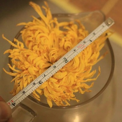 金丝皇菊礼盒装特级正品高档特大朵菊花茶一朵一杯黄菊贡菊图5