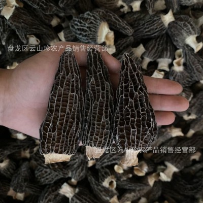 羊肚菌干货云南特产高山羊肚菌干货头茬剪柄羊肚菌煲汤批发代发图4