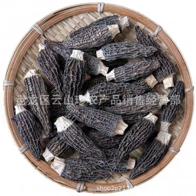 羊肚菌干货云南特产高山羊肚菌干货头茬剪柄羊肚菌煲汤批发代发图5