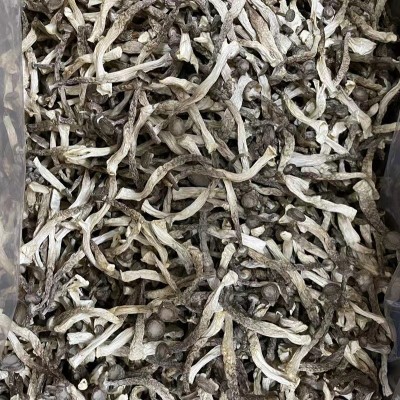 菌汤鹿茸菇鹿茸菌干货包装散装批发如意情鹿茸菇多种规格 产地批发图2