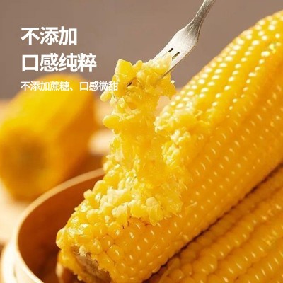 东北有机玉米棒非转基因吉林糯玉米独立真空包装一件代发批发图3