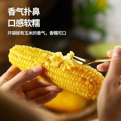 东北有机玉米棒非转基因吉林糯玉米独立真空包装一件代发批发图2