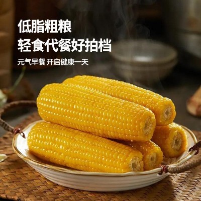 东北有机玉米棒非转基因吉林糯玉米独立真空包装一件代发批发图4